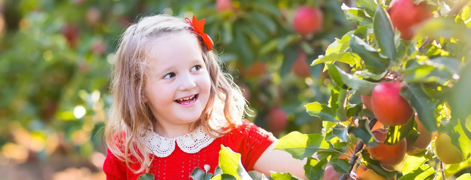 Kind-im-Garten Kind-im-Garten